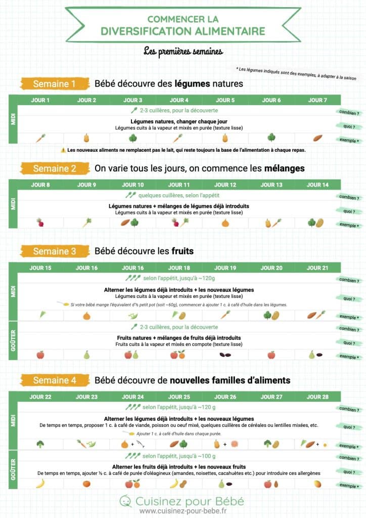 Fiche mémo premiers repas